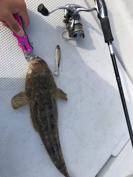 ボートマゴチ 朝短時間勝負