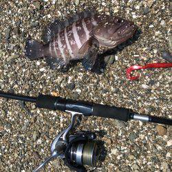 ロックンフィッシュ٩( ‘ω’ )و