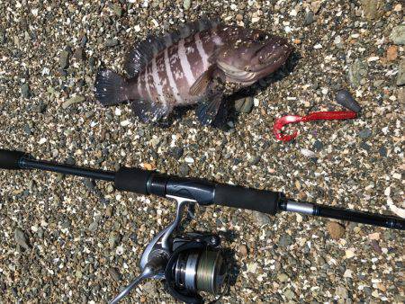 ロックンフィッシュ٩( 'ω&#…