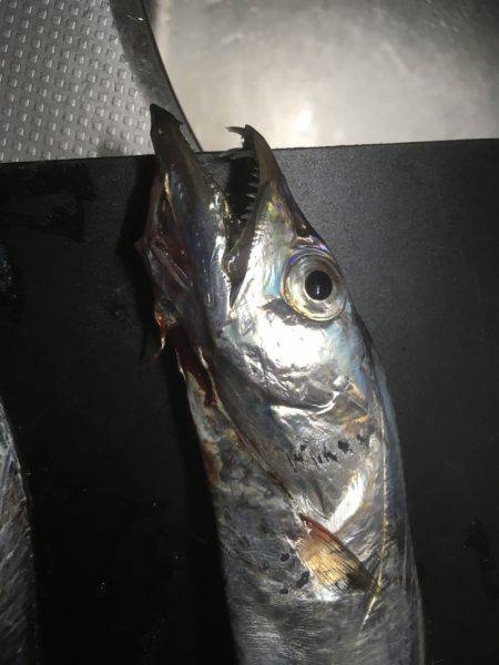 丑三つ時から天の声（笑）