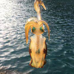 夏イカ求めて②