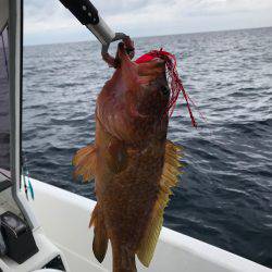 マイボートタイラバ