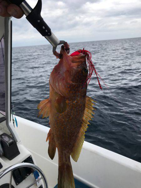 マイボートタイラバ