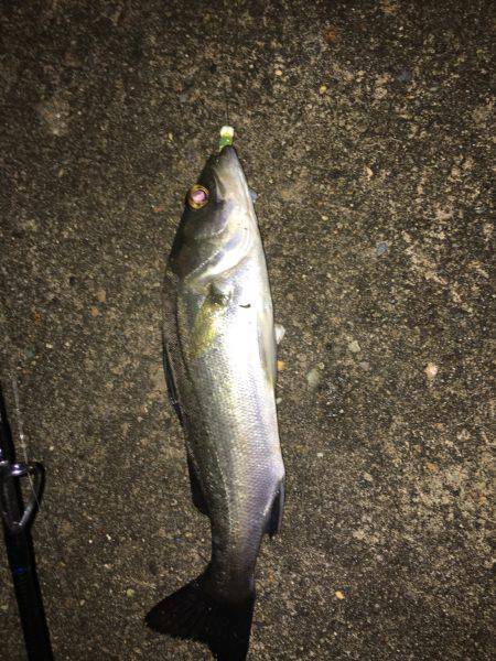 マリーナ港側で