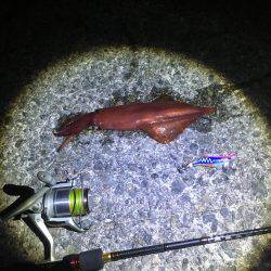 ゲキ渋です…..