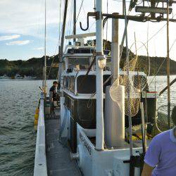 和歌山イカメタル