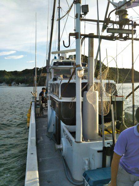 和歌山イカメタル