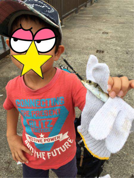 先日のナブラを求めて