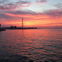 アジング、エギング