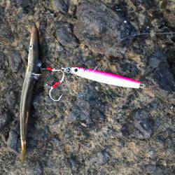 久々ショアジギ