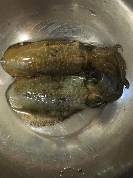 ライトジギングのちGTR