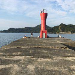 津田沖一文字で10cmアジ多数釣れました。