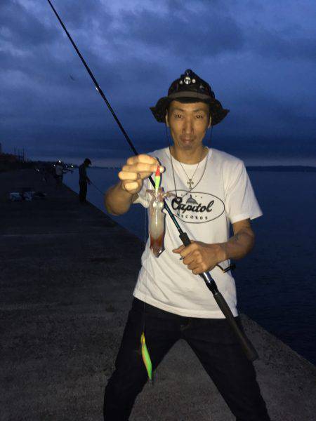 朝まずめケンサキイカゲーム