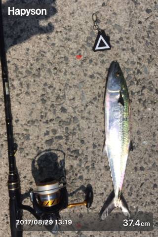 ライトショアジギング