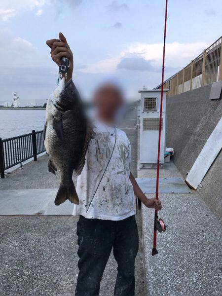 やってやった！チヌ！