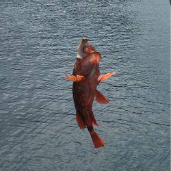 夏休みラストフィッシング