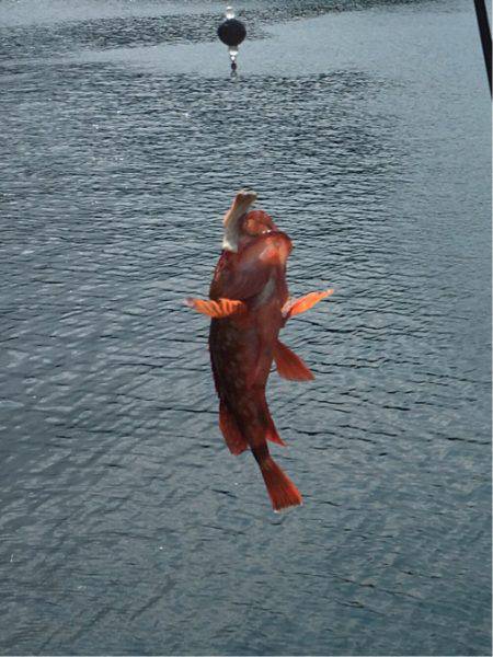 夏休みラストフィッシング