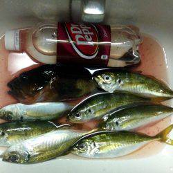 集会お開きのお知らせ