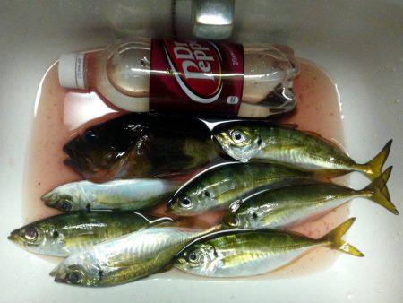 集会お開きのお知らせ