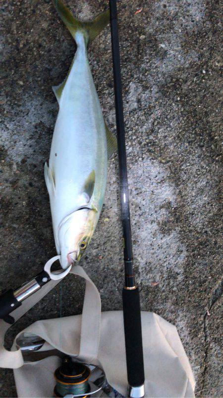 親切な方々のおかげで