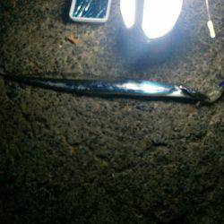 太刀魚リベンジ