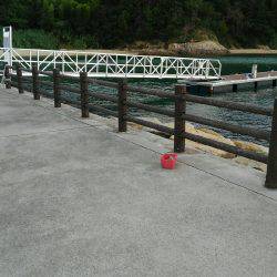 片添にて夜釣り