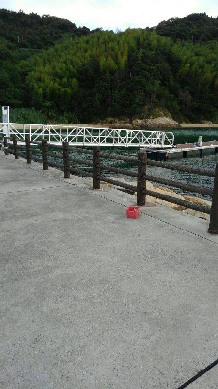 片添にて夜釣り