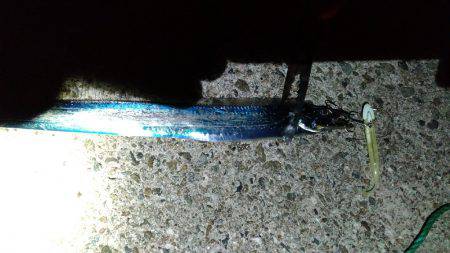 個人的夏タチ、いよいよ開幕できました！