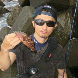 人生初アコウポンポン