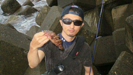 人生初アコウポンポン