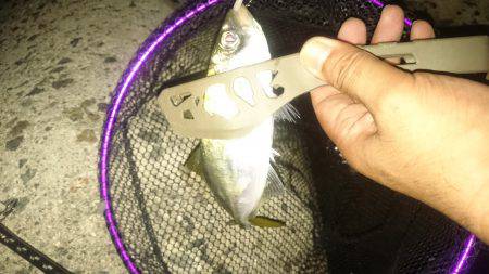 今日～も アジング  3