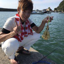 初のアオリイカゲット