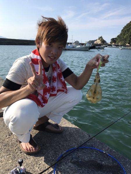 初のアオリイカゲット