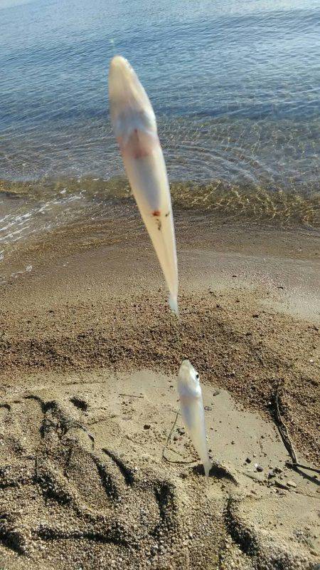 この時期にキス狙い