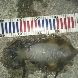 暑いけど久しぶりに行って来ました。