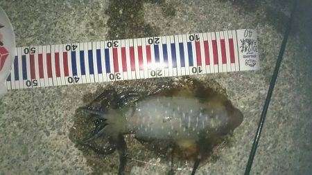 暑いけど久しぶりに行って来ました。