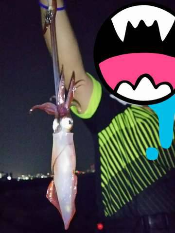 台風後のケンサキは?