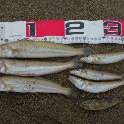 時間潰しのつもりが…