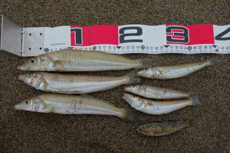 時間潰しのつもりが…