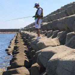 今の時期、昼間はダメ！