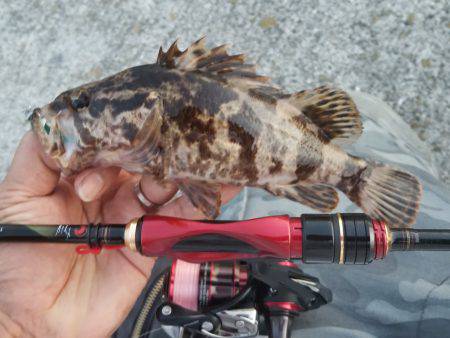 仕事終わりにライトワインド