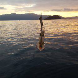 久々のマイボートフィッシング