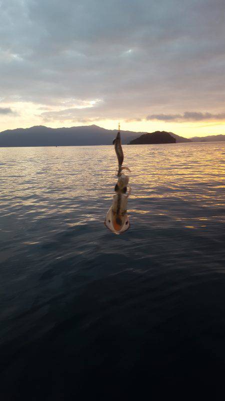 久々のマイボートフィッシング