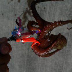 タコにハズレ無し