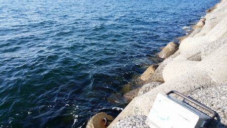 太刀魚シーズンインです