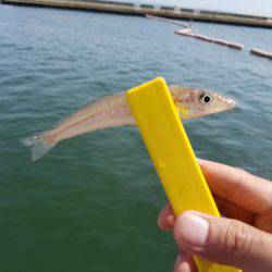 ファミリーフィッシング&キッシングリベンジ