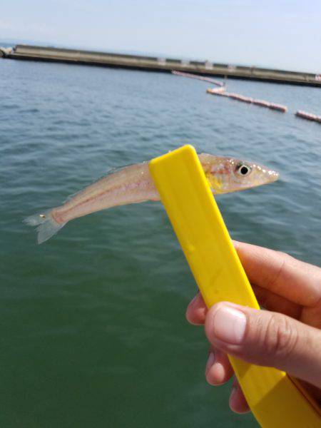 ファミリーフィッシング&キッシング…