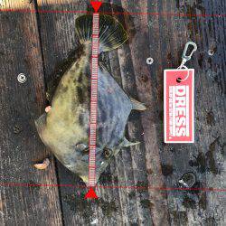 迫間浦宝成渡船での筏釣り