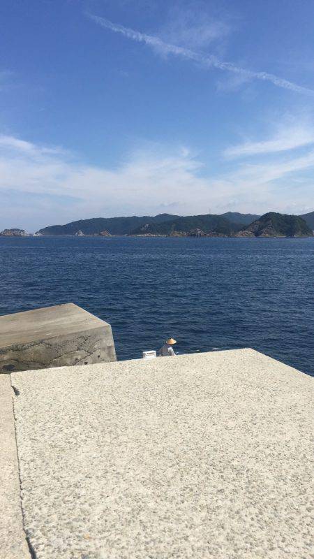 シイラは外れ年