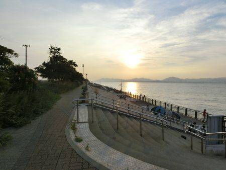 小アジが戻って来た